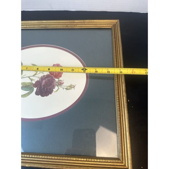 Botanical Framed Picture Classic Decor 13x15 Antique Gold Frame - Picture 8 of 9